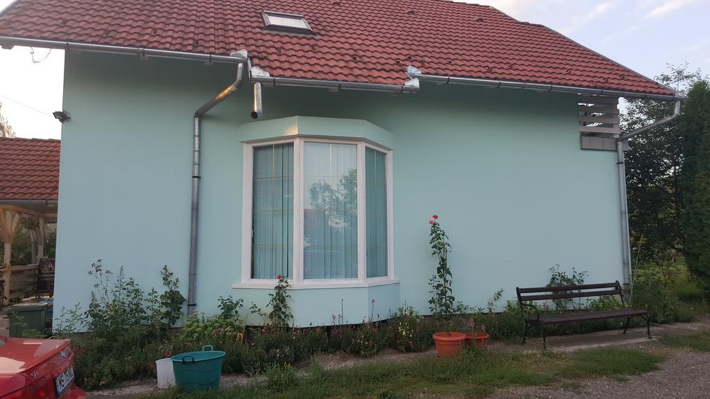 Casa Cristina Villa Sovata Buitenkant foto