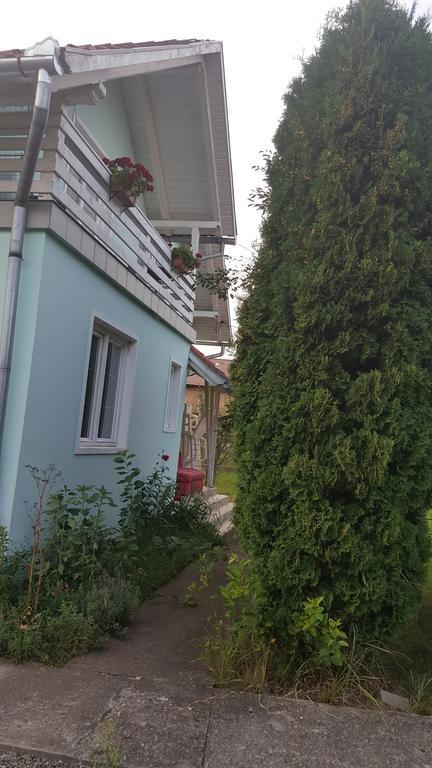 Casa Cristina Villa Sovata Buitenkant foto